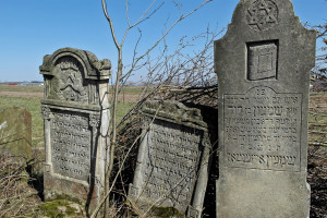 Arbore_cemetery_SAM7017