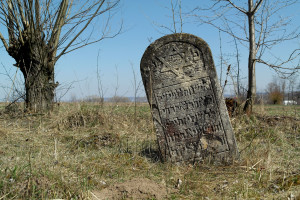 Arbore_cemetery_SAM7026