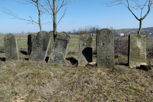 Arbore_cemetery_SAM7029