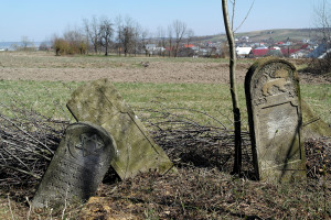 Arbore_cemetery_SAM7032