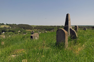 Bratslav_05_SAM7843