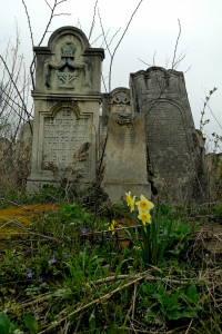 Czernowitz_new-cemetery_SAM7418