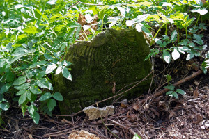 Czernowitz_old-cemetery_SAM7522