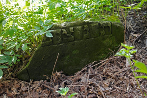 Czernowitz_old-cemetery_SAM7523