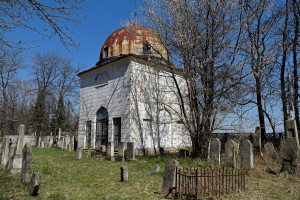 Radautz_cemetery_SAM6947