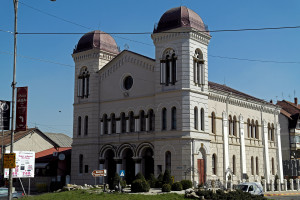 Radautz_synagogue_SAM6938