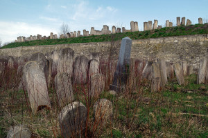 Siret_new-cemetery_SAM7084