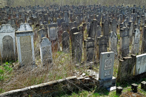 Siret_new-cemetery_SAM7109