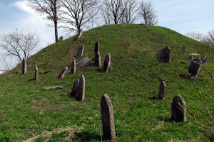 Siret_old-cemetery_SAM7051