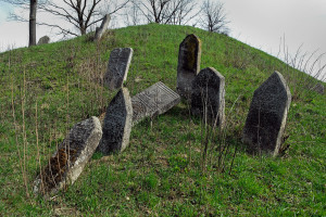 Siret_old-cemetery_SAM7064