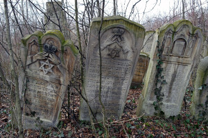Suceava_new-cemetery_SAM6460