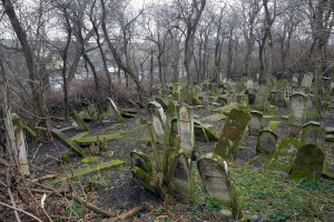 Suceava_old-cemetery_SAM6390