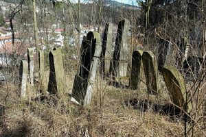 Vatra-Dornei_cemetery_SAM6791