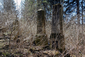 Vatra-Dornei_cemetery_SAM6801