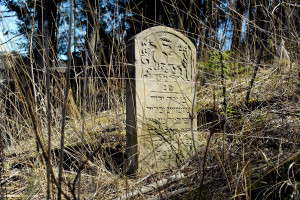 Vatra-Dornei_cemetery_SAM6815