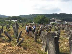 Wiznitz cemetery July 2015 IMG_0708