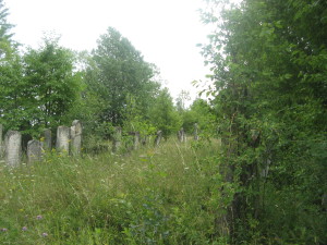 בית הקברות בארבורה 2 2011