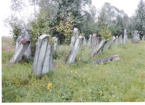 בית הקברות בארבורה 8 2005