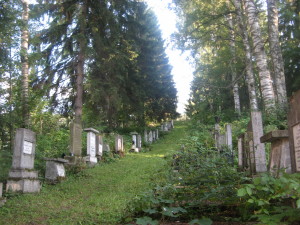 בית הקברות בווטרה דורניי 2 2011